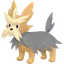 Shiny Herdier