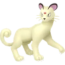 Shiny Persian