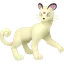 Shiny Persian