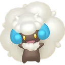 Shiny Whimsicott