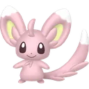 Shiny Minccino