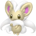 Shiny Cinccino