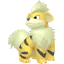 Shiny Growlithe