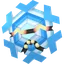 Shiny Cryogonal