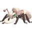 Shiny Durant
