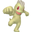 Shiny Machop