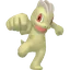 Shiny Machop