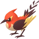 Shiny Fletchinder