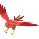 Shiny Talonflame
