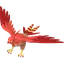 Shiny Talonflame
