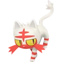Shiny Litten