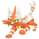 Shiny Torracat