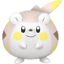 Shiny Togedemaru