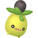 Shiny Smoliv